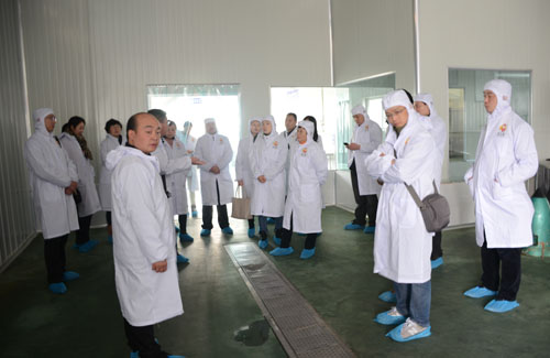 市检协组织现在调研